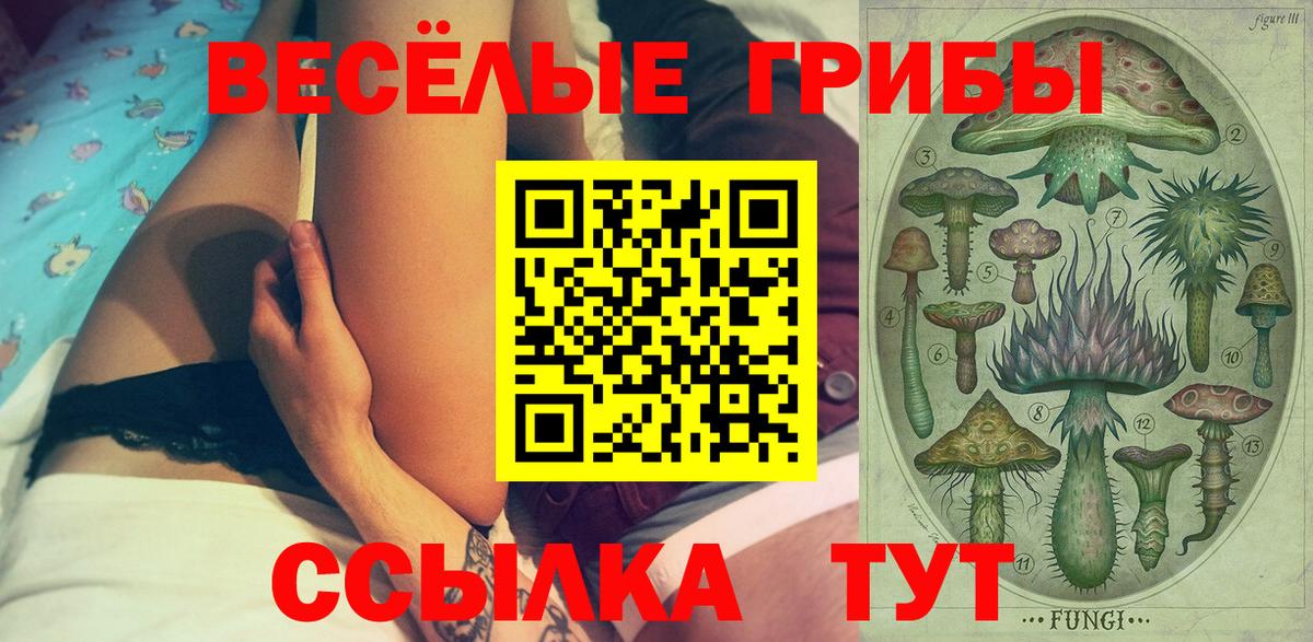 Заволжье  наркошоп  Вход с VPN  Псилоцибиновые грибы Psilocybine cubensis  Галлюциногенные грибы ЛСД 
