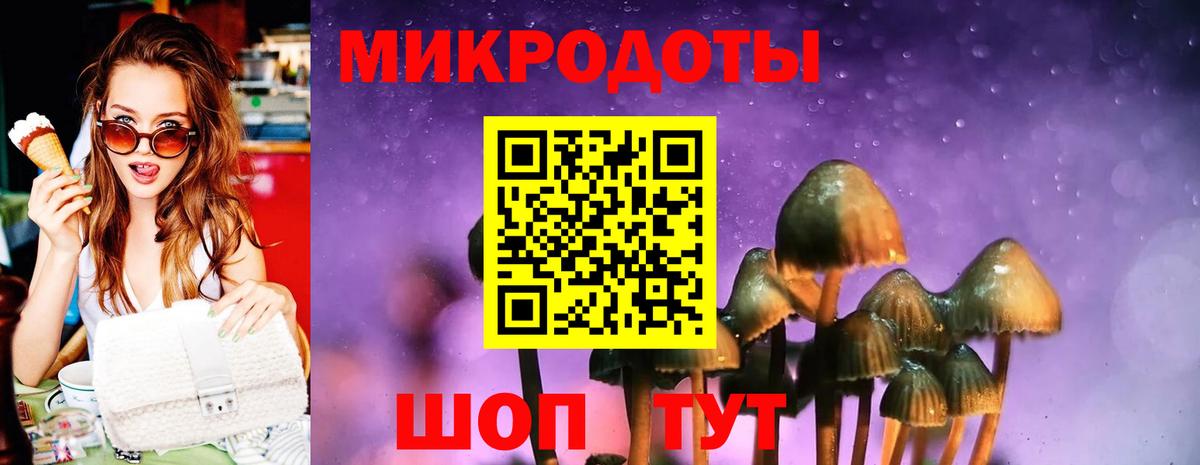 Галлюциногенные грибы мицелий Заволжье